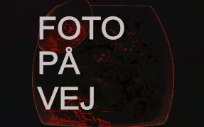 Bánh canh thit Xá xiu